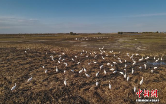 10��16�����ڼ���ĪĪ����Ҽ���Ȼ���o(h��)�^(q��)��(n��i)���Q����Ϣ��(�o�˙C(j��)��Ƭ)�w��� �z