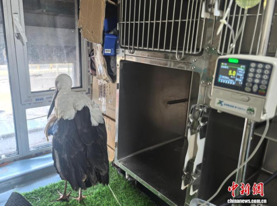 �܂��Ė|�����X���ڽ���ݔҺ�ί�����ʯ���� �z