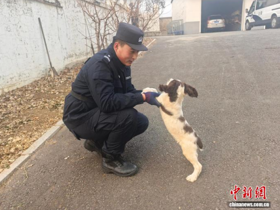 ���Ҳ������c�[�����B(y��ng)�H�ܶ�����ʯ���� �z