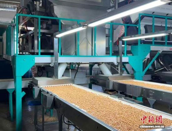 �������a(ch��n)����(�L�����P(gu��n)���D)