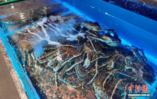 ���B(y��ng)����ĵ���з����߅��ί������ ���D