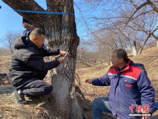 �����ˆT���ڌ���������������w�z�������� �z