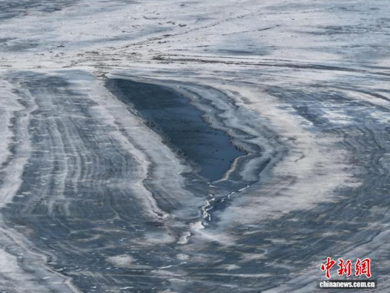 3��16���������(zh��n)�l�������������������BͣЪҒʳ���������� �z