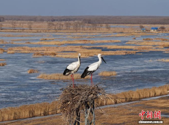 3��16�գ������(zh��n)�l��һ��(du��)�|�����X��ĪĪ���صĳ����������������� �z